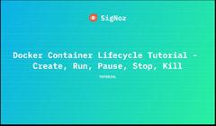 Docker Container Lifecycle Tutorial | Create, Run, Pause, Stop ...