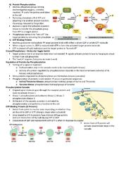 Notes for Intro Cell Biology | BIOL 130 - Introductory Cell ...