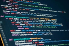 Easiest Programming Languages to Learn in 2024 - SkillReactor Blog