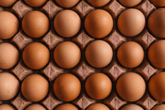 Brown Eggs (Amana Ranch Ungraded Eggs)