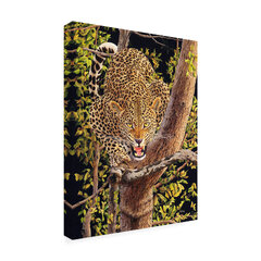 Elviera Leopard In Tree On by Delene Lambert Ebern Designs (Trademark Fine -Harro Maass 'Leopard In Tree' )