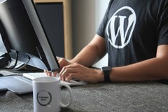 Exploring Headless WordPress: Decoupling Frontend and Backend for ...