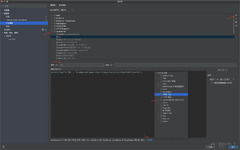 PhpStorm (IntelliJ IDEA)