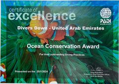 Divers for the Environment March 2024 by Divers for the ...