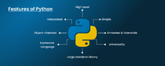 NodeJS%20Vs%20Python:%20Solving%20The%20Great%20Backend%20Dilemma%20-%20SolGuruz