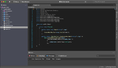 PhpStorm (Visual Studio Code)