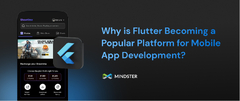 Why%20is%20Flutter%20App%20Development%20Becoming%20a%20Popular%20Platform%20for%20...