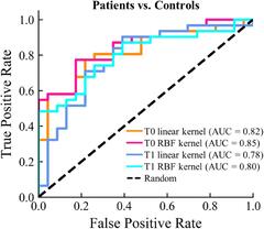 Frontiers | EEG Microstate-Specific Functional Connectivity and ...