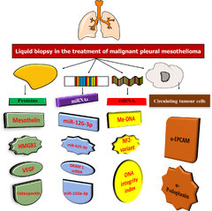 Frontiers | Malignant mesothelioma tumours: molecular pathogenesis ...