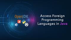 Accessing Foreign Programming Languages in Java with Project ...