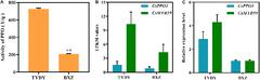 Frontiers | The R2R3 Transcription Factor CsMYB59 Regulates ...