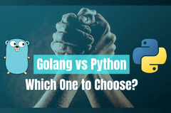 Golang%20or%20Python?%20Best%20Choice%20for%20Back-end%20%7C%20QIT%20Software