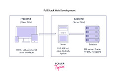 Full Stack Web Development from DDI Development