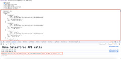 Make%20REST%20API%20Calls%20with%20Salesforce%20Inspector%20Extension
