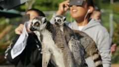 Animals act weirdly during an eclipse. Help NASA find out why | CNN