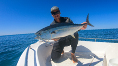 Moreton Bay Longtail Tuna