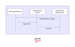 Git Commands Workflow - Scaler Topics