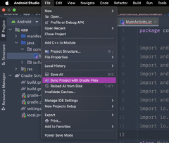 IntelliJ IDEA (DataGrip)