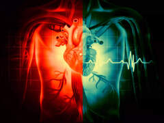 Cardiovascular Diseases News: World Heart Day 2022: Cardiovascular ...