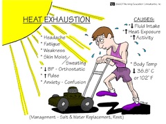 What are the symptoms of heat stroke, heat rash, prickly heat and heat ...