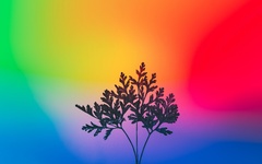 Herbal plant , Gradient background, RGB Light