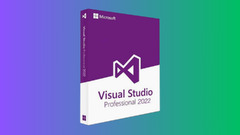 Microsoft Visual Studio 2022 Professional (Visual Studio)