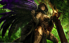 Guild Wars 2 (Guild Wars 2 Angel Fantasy)