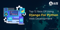 Top%2012%20Pros%20Of%20Using%20Django%20For%20Python%20Web%20Development