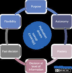 What is horizontal management in Agile at Scale? - Wind4Change