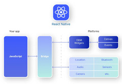 Flutter vs React Native in 2024: End-To-End Comparison