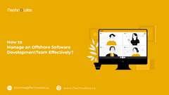 How to Manage an Offshore Software Development Team Effectively?