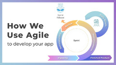 How We Use the Agile Software Development Methodology