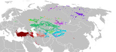 Common Turkic languages (Turkic languages)