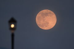 Full moon in April 2021: When to see the 'Pink' supermoon - KVIA