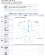 Free Agile Maturity Assessment Templates | Smartsheet