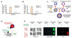 IJMS |-Text | A Novel Hybrid Drug Delivery System for ...