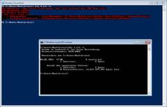 cmd.exe (Windows Server 2016)