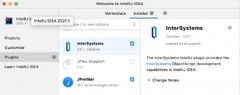 IntelliJ IDEA plugin for InterSystems | InterSystems Developer ...