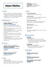 Software Engineering Resume Examples & Writing Guide 2024 | Kickresume