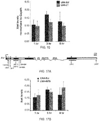 EP3260540A1%20-%20Polycomb-associated%20non-coding%20rnas%20-%20Google%20Patents