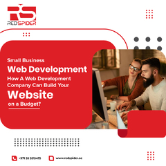 Web%20Development%20Company%20Can%20Build%20Your%20Website%20on%20a%20Budget