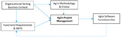 Information |-Text | Agile Software Requirements ...