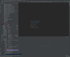 IntelliJ IDEA Community Edition (IntelliJ IDEA)