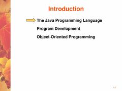 Introduction to Java Programming Language