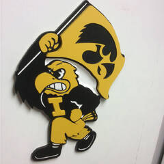 Iowa Hawkeyes