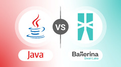 Data-oriented programming with Ballerina: a comparative analysis ...