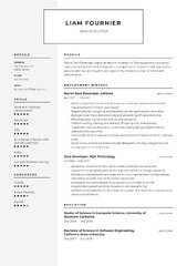 Java Developer Resume Examples & Templates (2024) · Resume.io