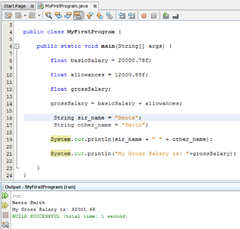 NetBeans (Java NetBeans)