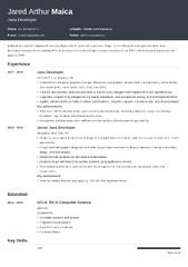 Best Java Developer Resume Examples for 2024