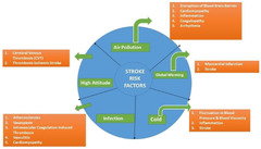 JCDD |-Text | Emerging Stroke Risk Factors: A Focus on ...